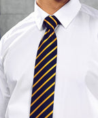 Premier Sports Stripe Tie Garment